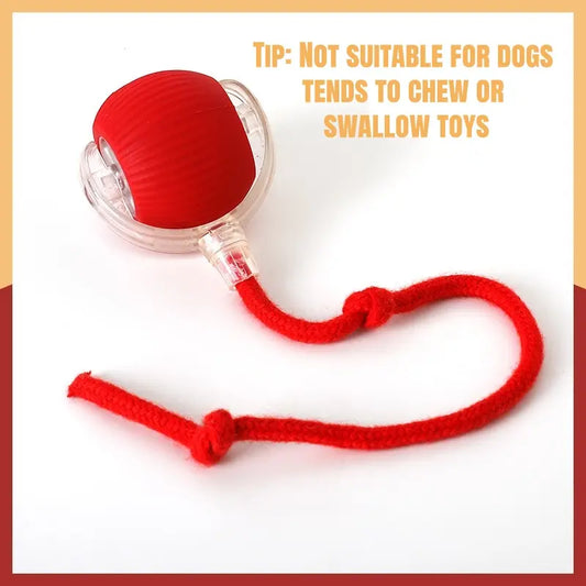 Exciting Interactive Cat Toy Ball - USB Rechargeable, Motion Activated Fun with Bird Sounds and Lights for Indoor Cats!